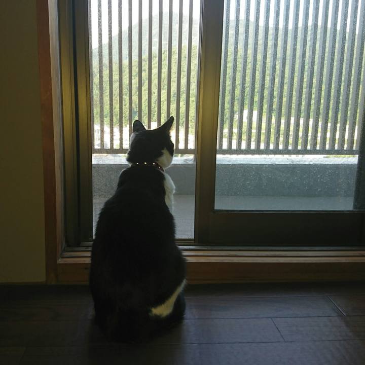 Ecf53a33 bbc4 4906 bf4e b353f1c8547d