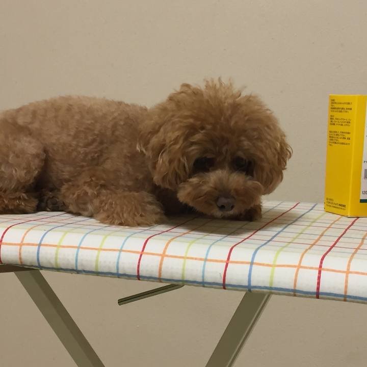 Ecf5d4a2 599d 4e8d a235 64c7d6c5c391