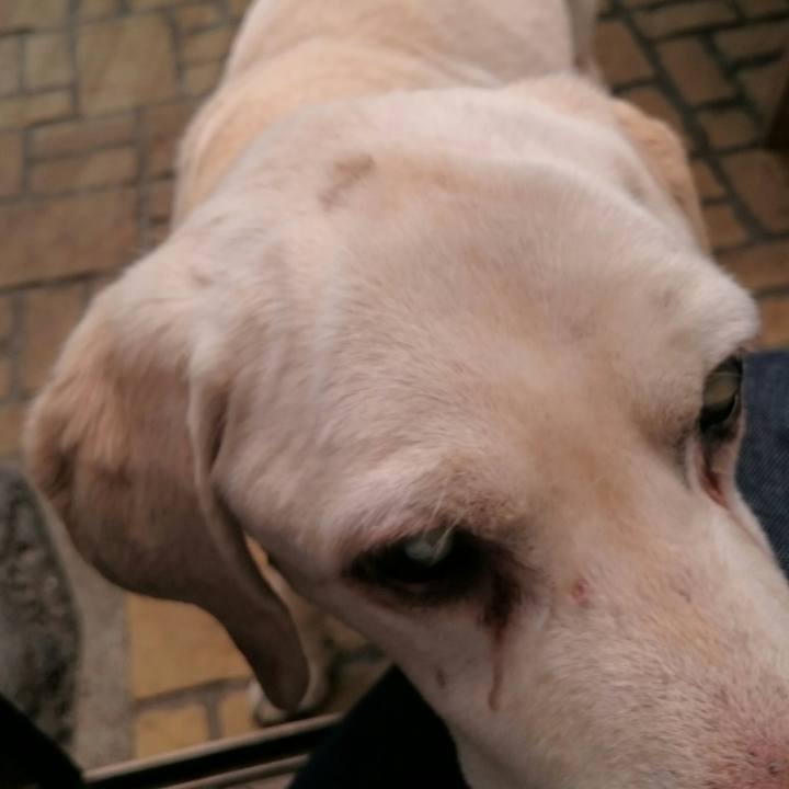 Ecf604eb ebef 47b0 84ba cfdfe4a8c816