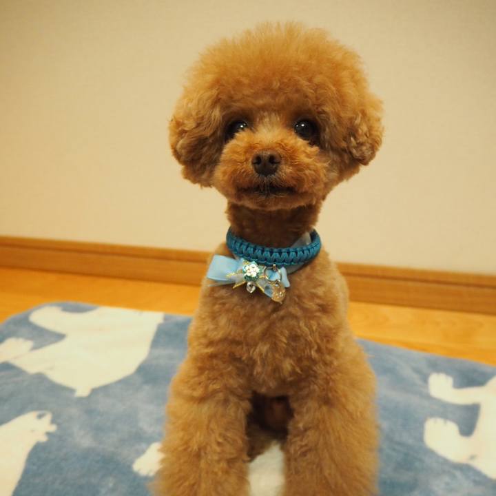 Ecf611fd 28d2 49fe 8f71 25ac6e22bb21