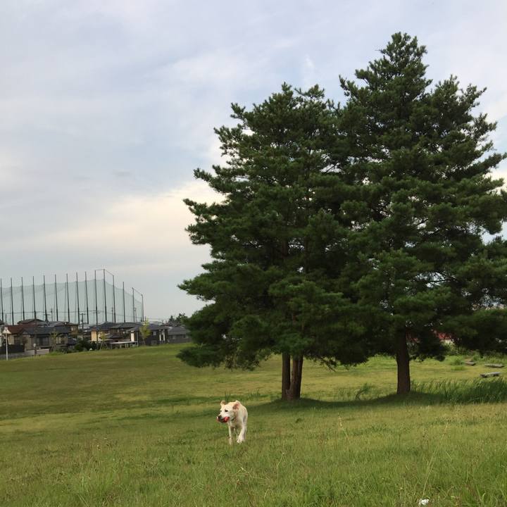 Ecf6589e a1bf 4a69 8e14 3677721215df