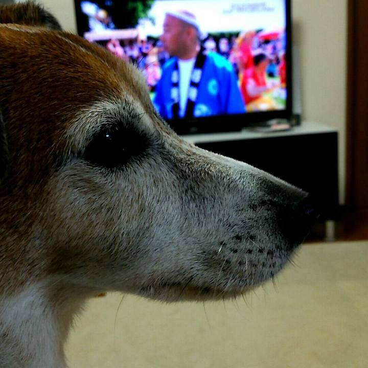 Ecf687c4 2382 4f7d b96f 5178ca228975