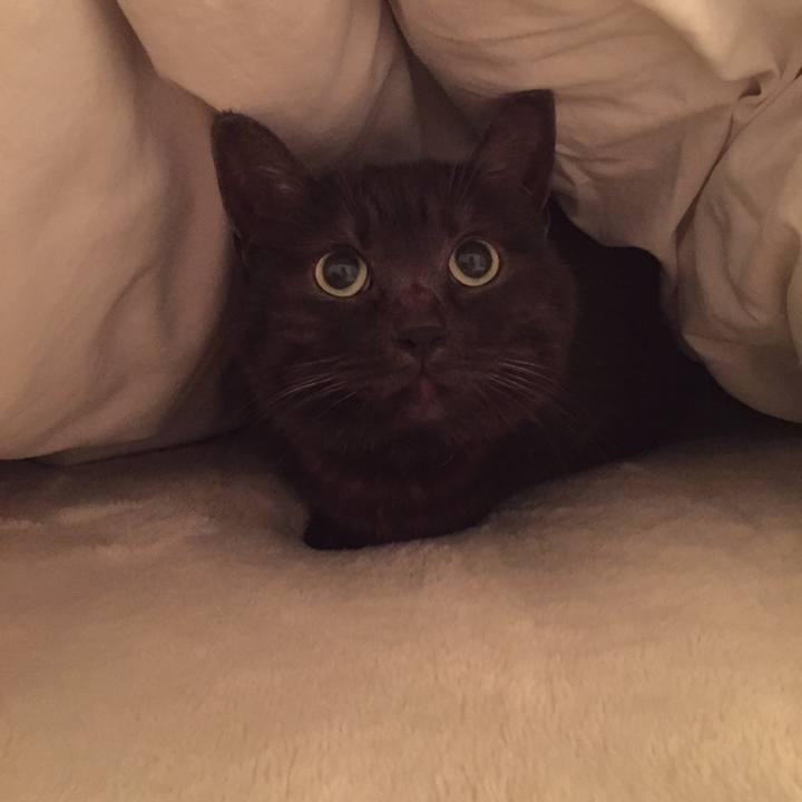 Ecf69897 6244 4812 80c4 fd3f90b7dd1f