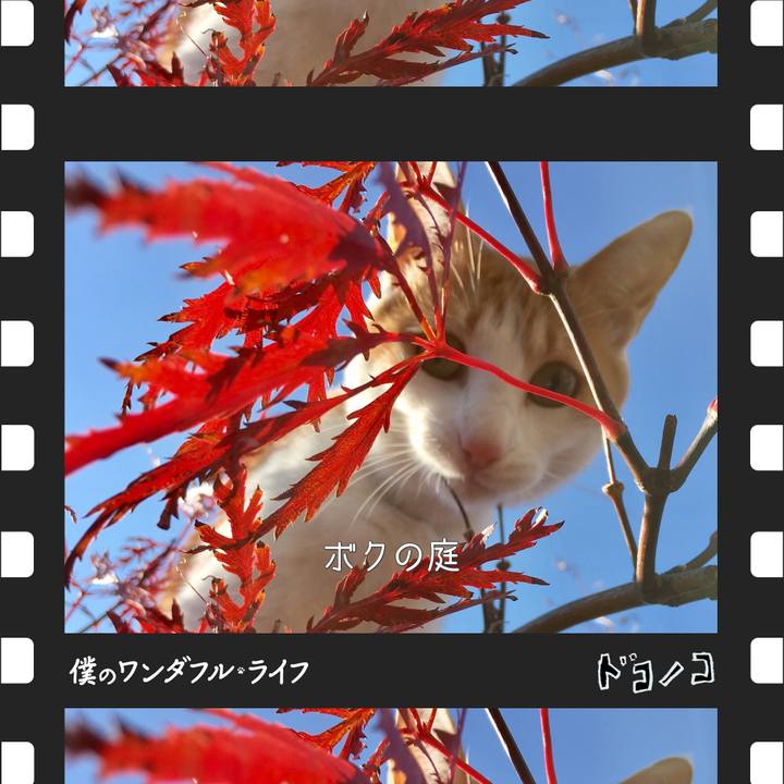 Ecf69dd8 d3aa 4714 966c 57c042fa6004