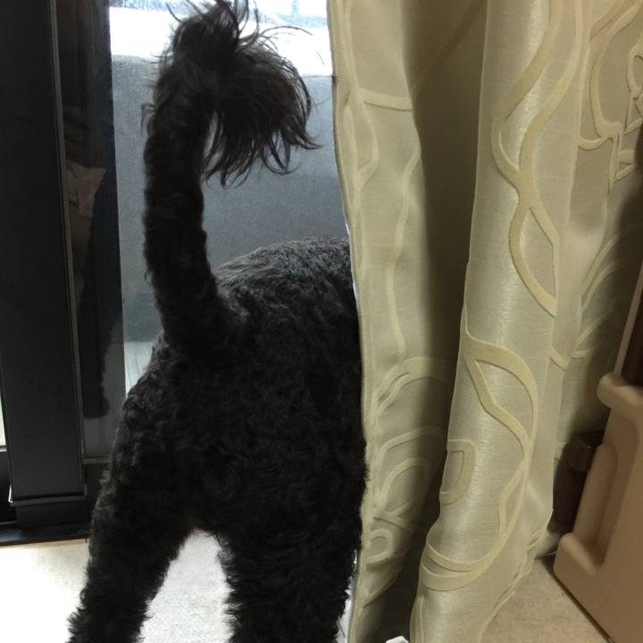 Ecf6a573 3dd5 4626 91ca e7f37150c7a9