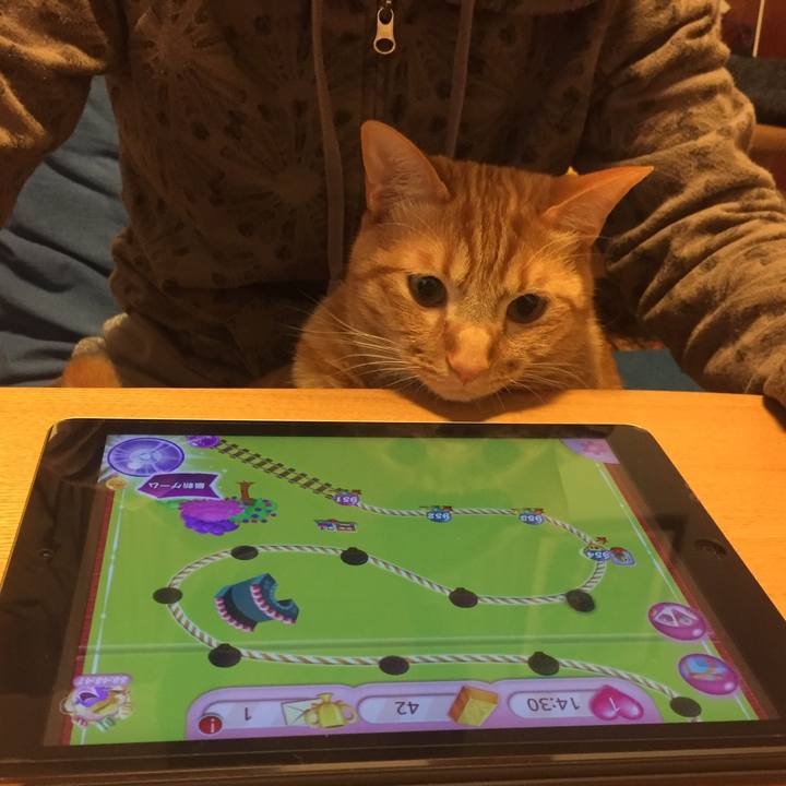 Ecf6a622 327a 4c05 b720 32f7106e3691