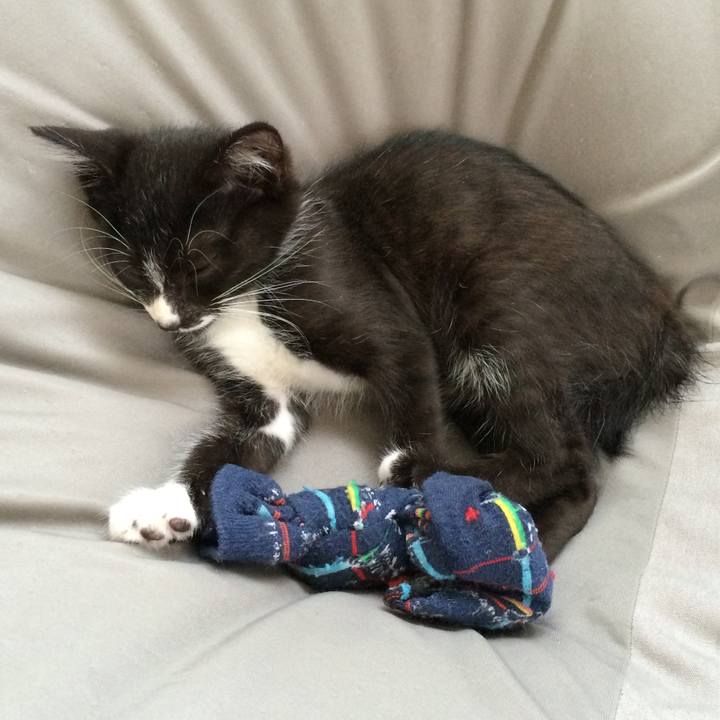 Ecf6ef96 1be7 425d 850c 2c905fa3f8bf