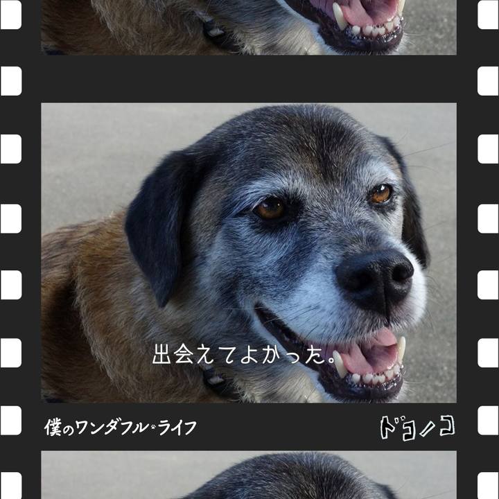 Ecf7053b a9a4 477b b20c 9af596ea5d8b