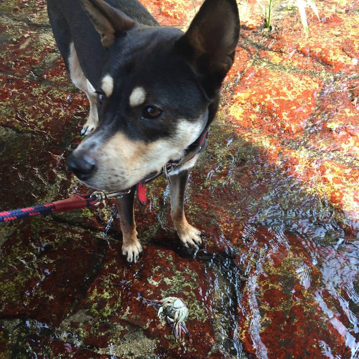 Ecf70d81 a102 44d3 9f73 7ac13ed2a007