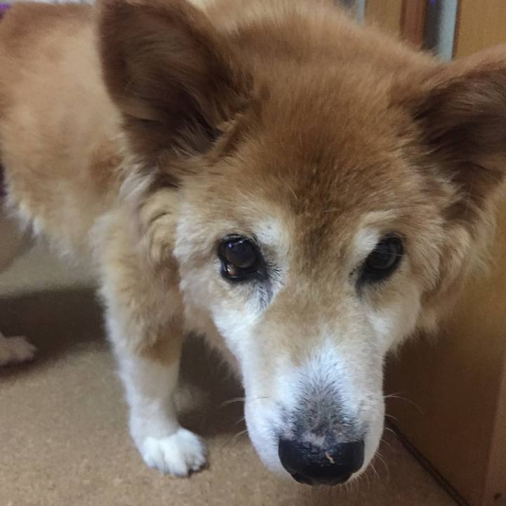 Ecf71bed 846a 40f0 9d5d 5d90b6440ae8