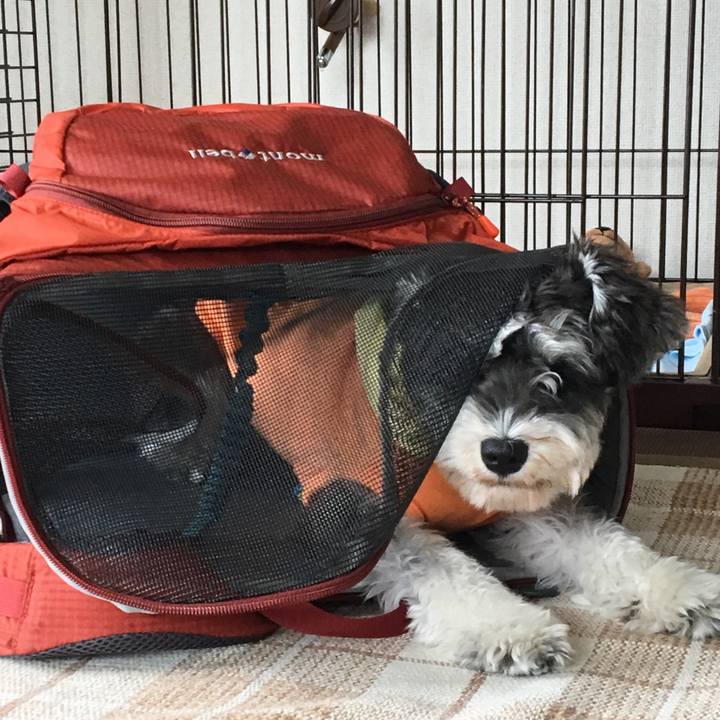 Ecf7c89c 3898 4e9a a0a2 c14f2ae6679e