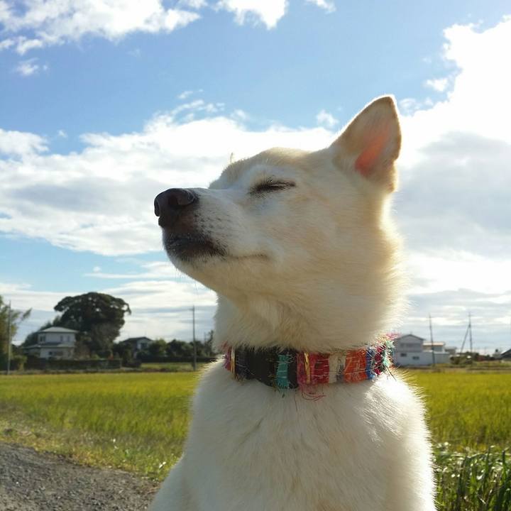 Ecf7c98b 6b89 480c 9caf a09fb70f6ec7