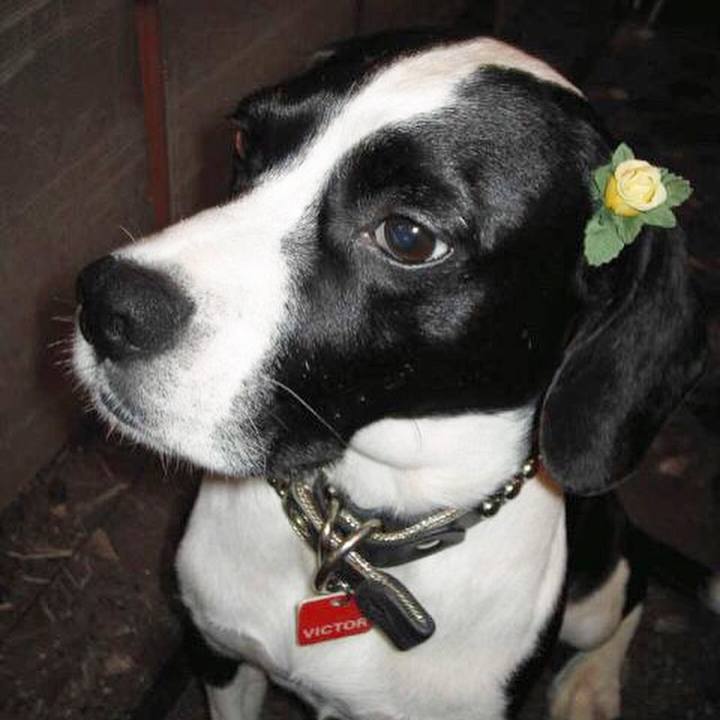 Ecf82191 d375 4aef 9d1d a2dc5d95c70b