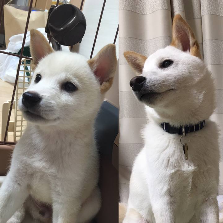 Ecf8a11f 1ca1 4f39 bc77 30ea8a5dbf18