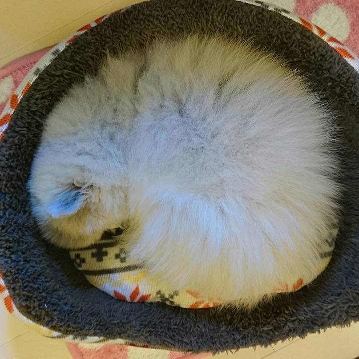 Ecf8f42d 9f1f 4588 ba4f 0b408a80ca98