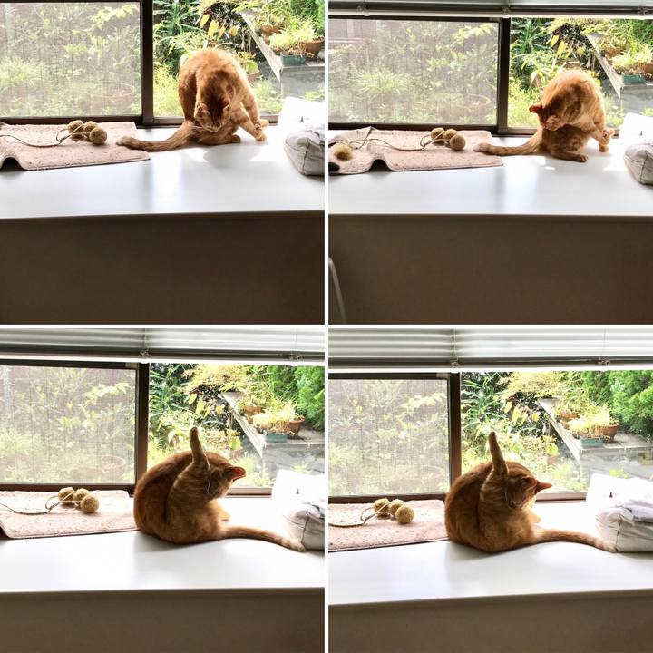 Ecf93b62 2978 4edb 8580 6b3bdfaa8c6a