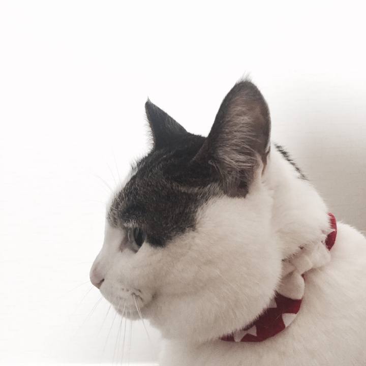 Ecf9dc84 04a6 428c 94b7 947ff27c6c98