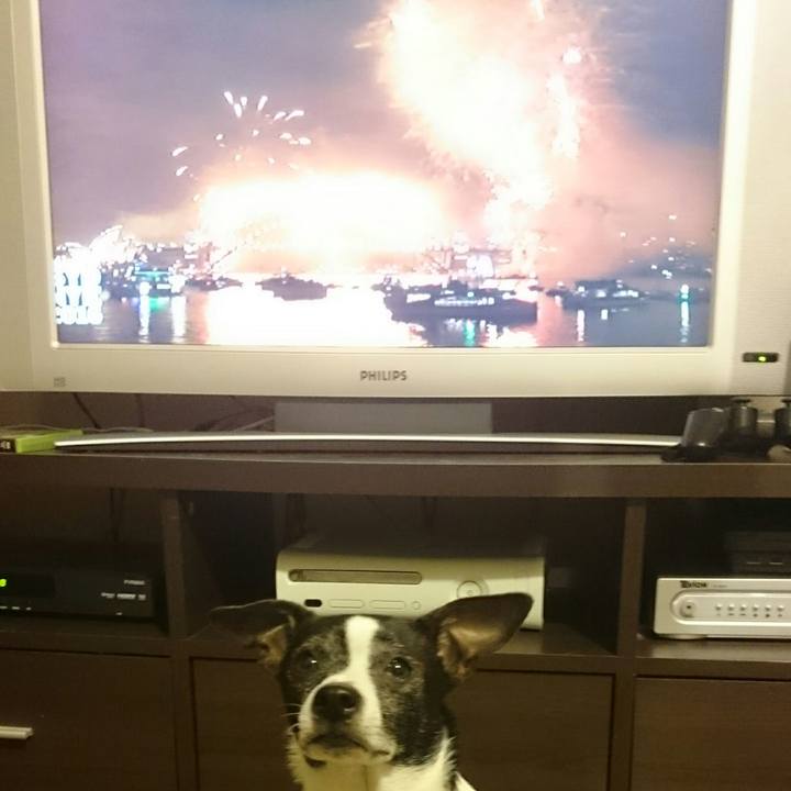 Ecf9df24 768e 41a8 9c0a 6a8b185affbe