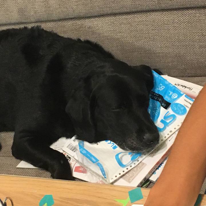 Ecfa2034 4aba 4da6 841b c7cdcc443fa8