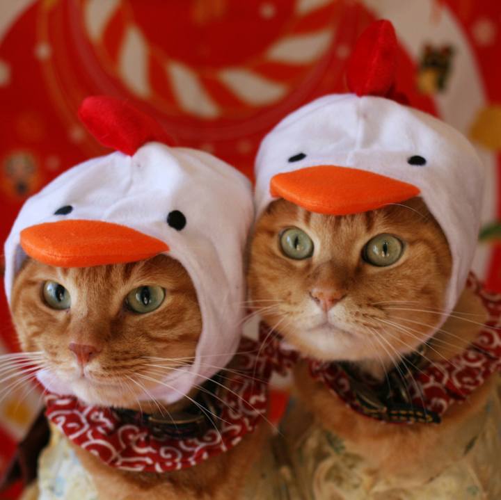 Ecfa2438 7f20 46ef aead d4d9448264eb