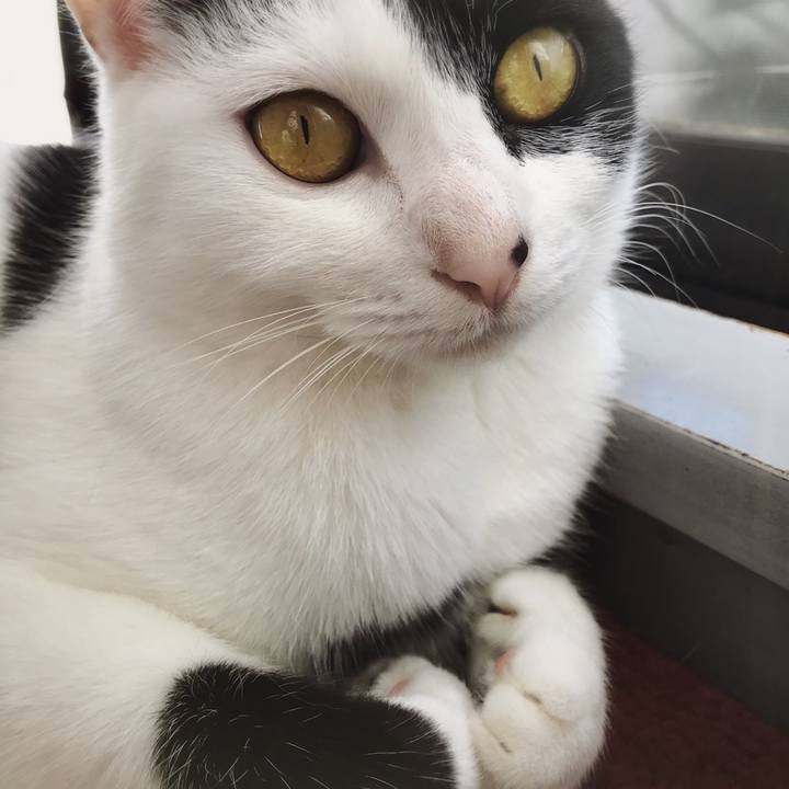 Ecfa724b 763b 44e6 a7d1 e8675b715ca6