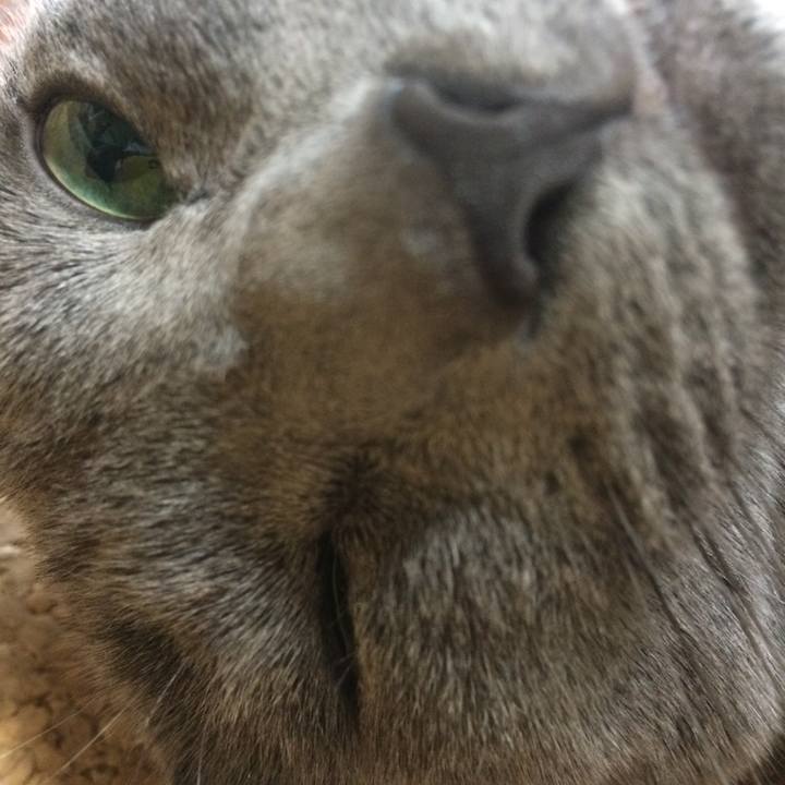 Ecfab278 eb73 4586 b88d 98cbf22e6b5c