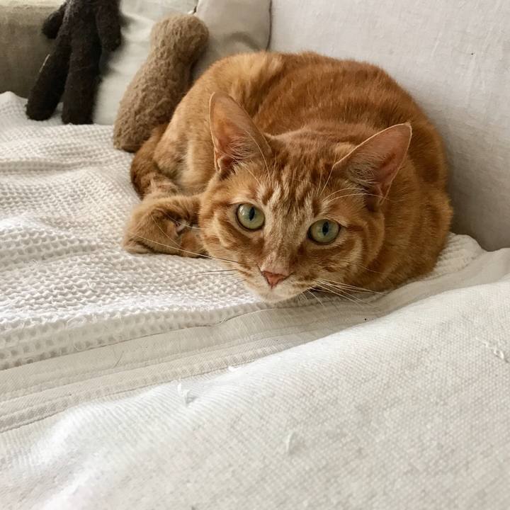 Ecfb486c deec 429c 9d43 b07b6b11bbf4