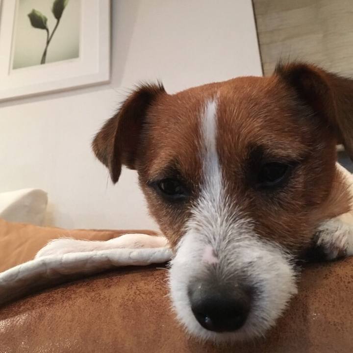 Ecfc3a39 df52 4d4e 8f9f 5652fabc67cb