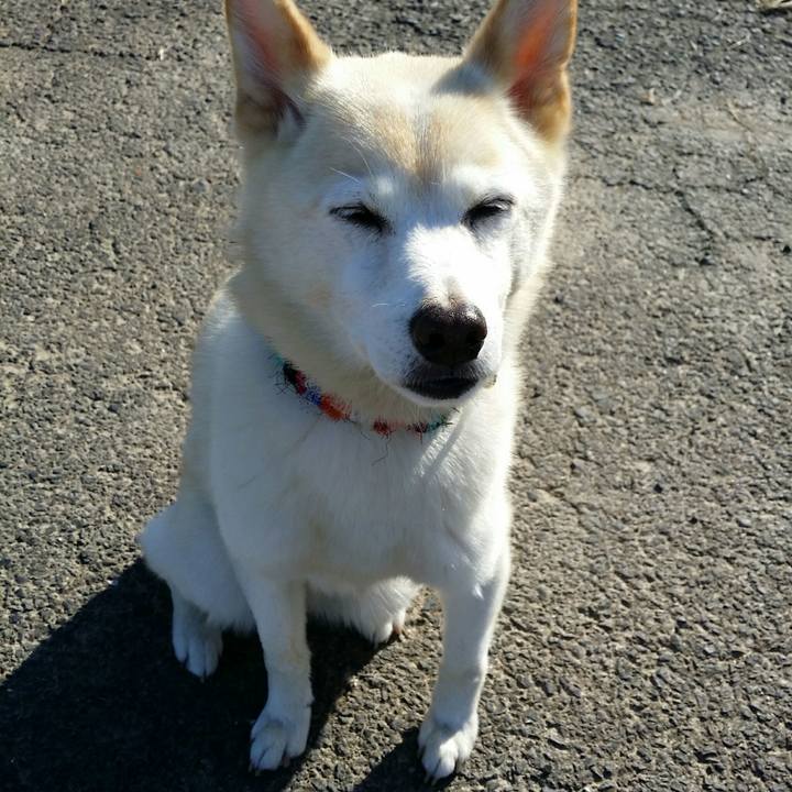 Ecfc6c86 4784 4ed3 8e31 8ebf3dd068b5