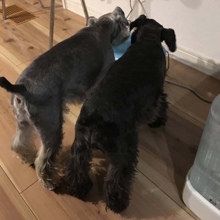 Ecfcd4af 8829 4adc 973a 96c3170b6e7f