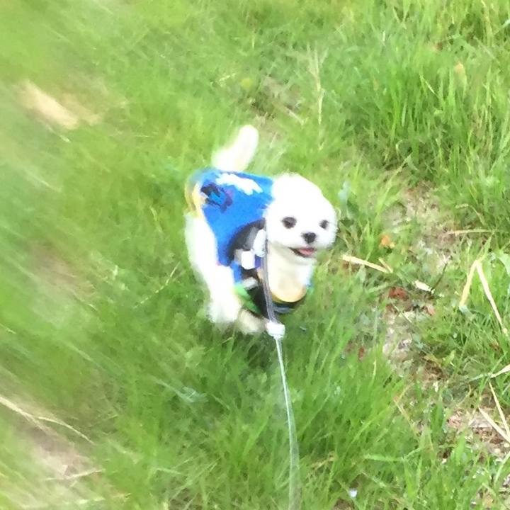 Ecfd236f ff20 4f35 b111 d297f29c6284