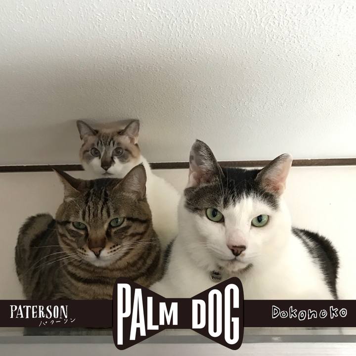 Ecfd904c 8ee2 4b7f b994 3bec839ade1d