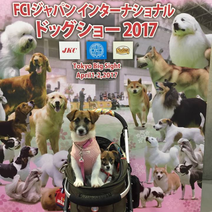 Ecfdf609 39bb 4c21 be53 24bb43642622