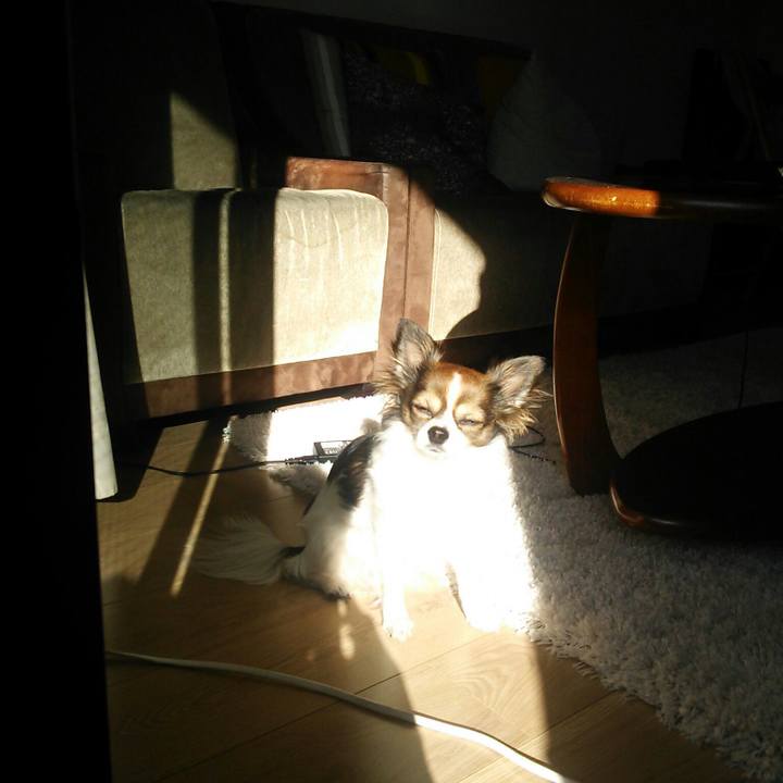 Ecfe2501 95f6 4cf5 909b 8cd9880ed970