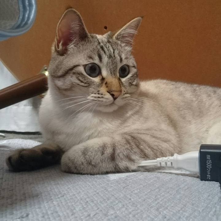 Ecfe8bbd 70f5 4c4b a333 aa2ef62db420