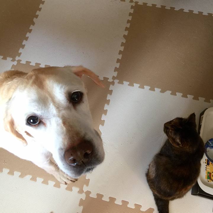 Ecfeaab3 cc00 4244 a240 381f2a05b6a2