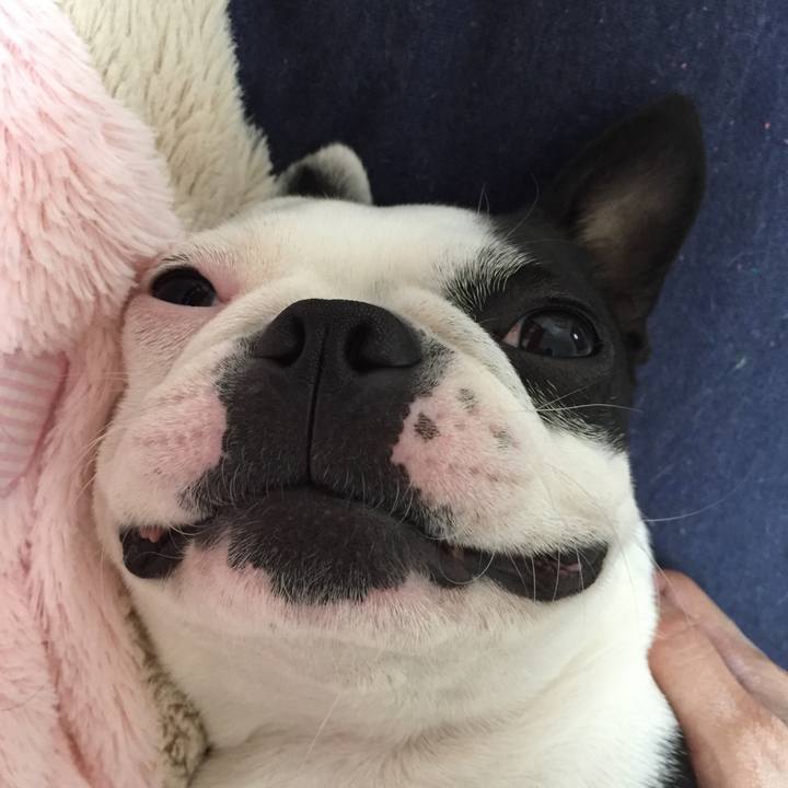 Ecfeadc1 92d6 4160 8838 b60ff6e0ddb4