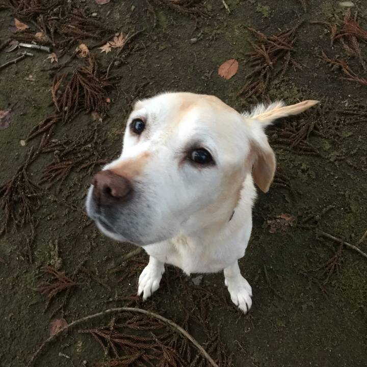 Ecff1939 59bf 4c39 ae28 66c65c3e1448