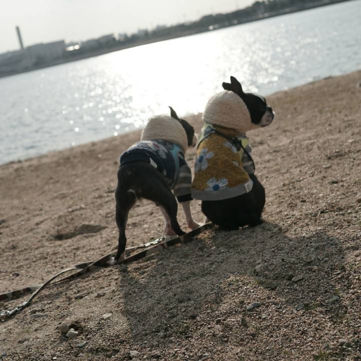 Ed00a4c8 7fdc 4578 b0e7 8e3a2f950542