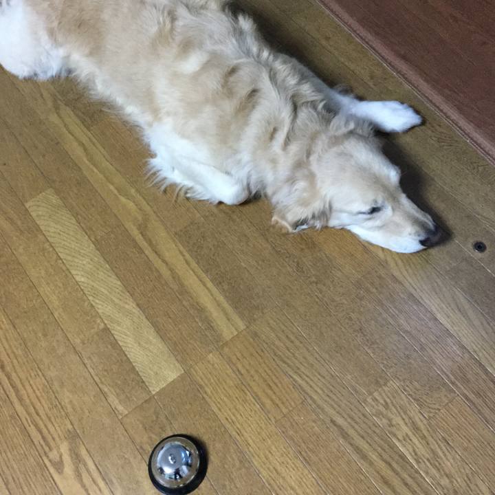 Ed00ae1a f0c3 46a7 9a18 d5ad090c9e00