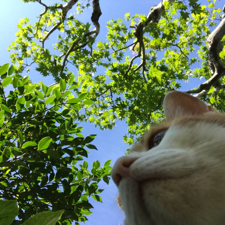 Ed00b9ad be61 4088 b382 d578c01943c4