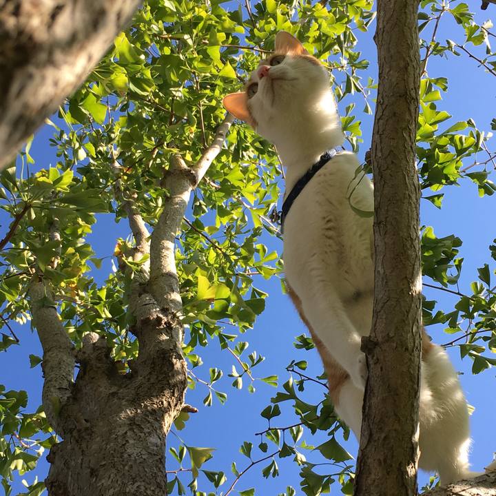 Ed0125d6 c5ad 42c2 8d88 96c4f01148bf