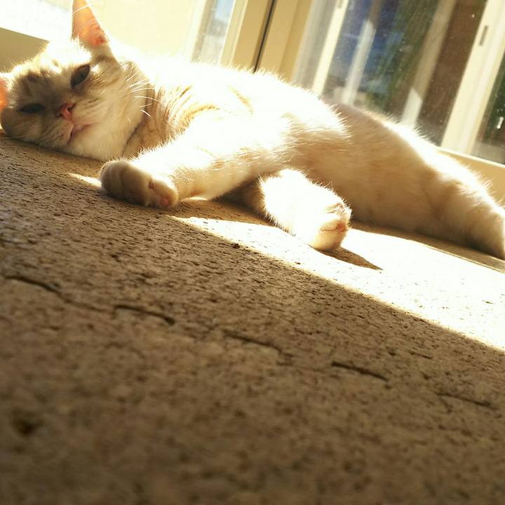 Ed01c700 aed8 4bc2 b4e7 f8625c361f50