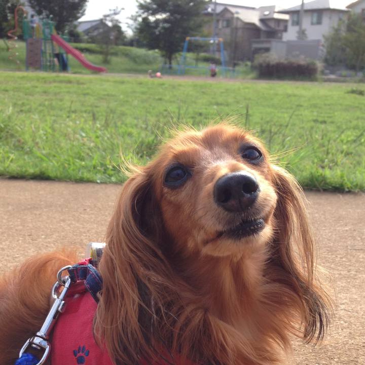 Ed01ff1f 9bf9 4078 ae74 815924fdecc9