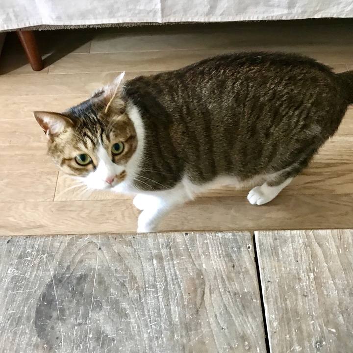 Ed023652 8077 4b3f 87d0 bcfc7e8c6435