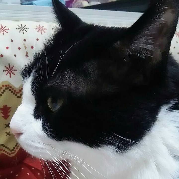 Ed025cbe 706b 4e14 9762 5a3f8174de0a