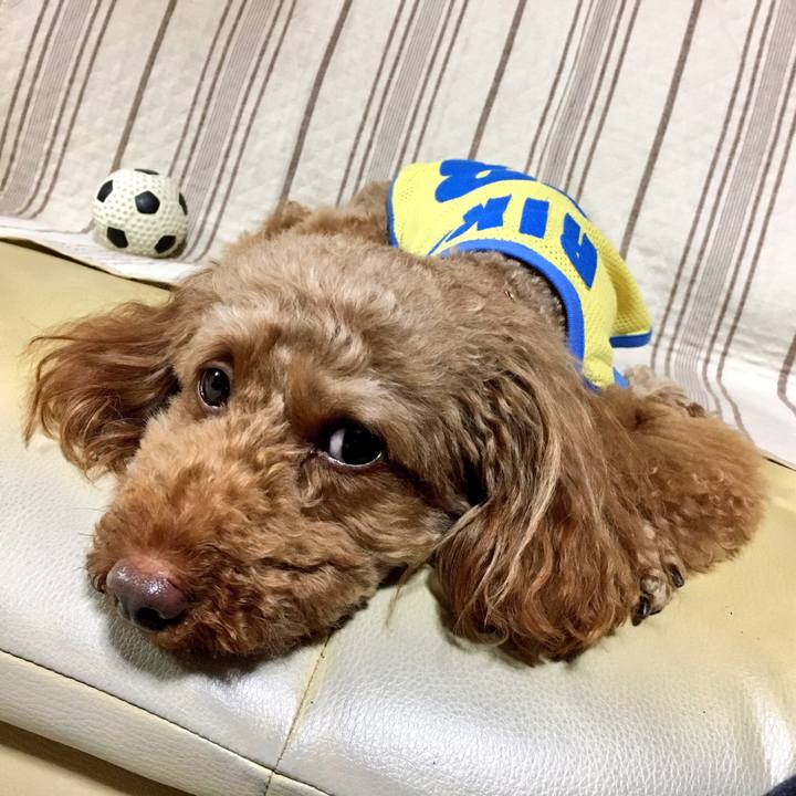 Ed02ffc6 b0c9 4dbe b61f 3927edb8018e