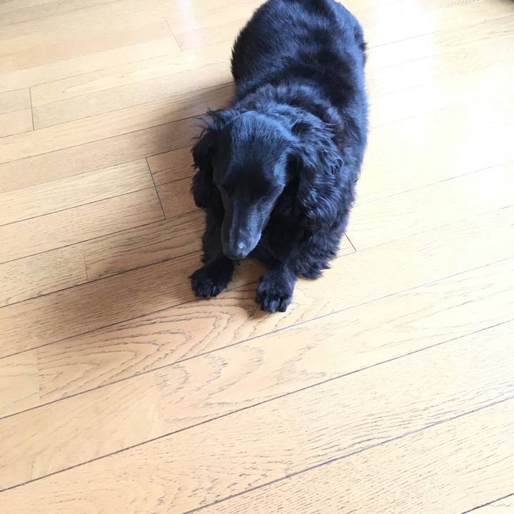 Ed0361a5 02f0 4dcb 9de9 e9785ad07c3e