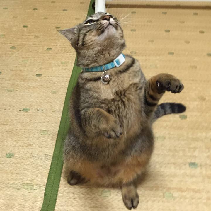 Ed03e4aa 4423 4a69 ba5b f3a943503fc6