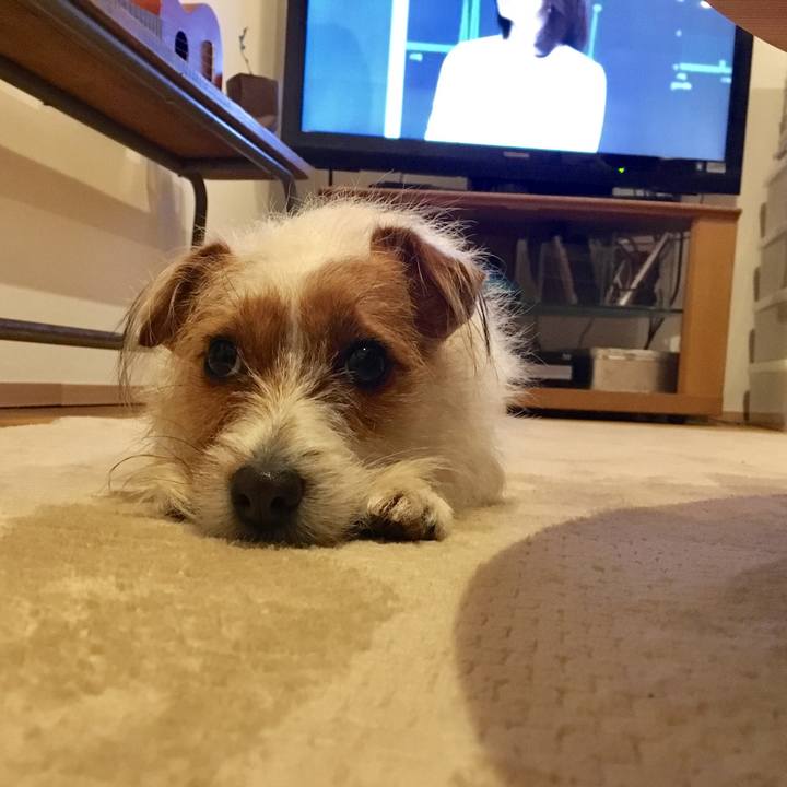 Ed046cf6 817d 41cd 9b8d 607b13aae139